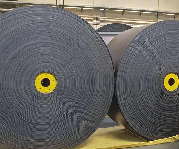 Steel cord conveyor belt